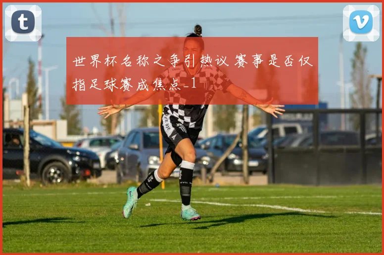 世界杯名称之争引热议 赛事是否仅指足球赛成焦点_1